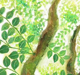 sustainability-report-rina