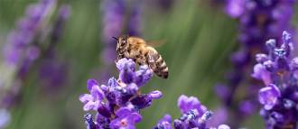 How to comply with the Corporate Sustainability Reporting Directive